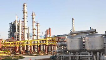 高半胱氨酸硫内酯盐酸盐市场生产需求现状及前景分析